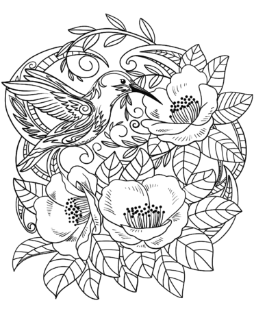 Hummingbird In Flowers Coloring Page